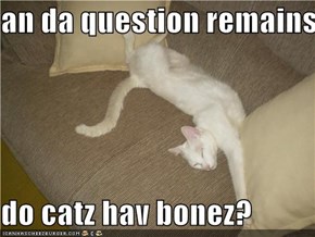 an da question remains. . .  do catz hav bonez?