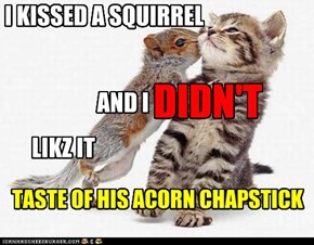 I KISSED A SQUIRREL