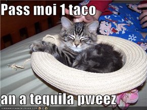 Pass moi 1 taco  an a tequila pweez