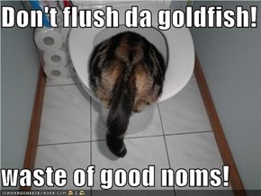 Don't flush da goldfish!  waste of good noms!