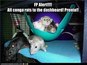 Never Fear the Conga Rats Are Here!