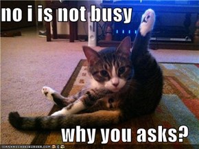 no i is not busy  why you asks?