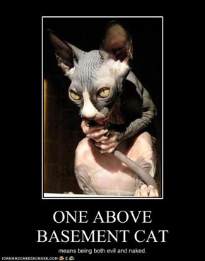 ONE ABOVE BASEMENT CAT