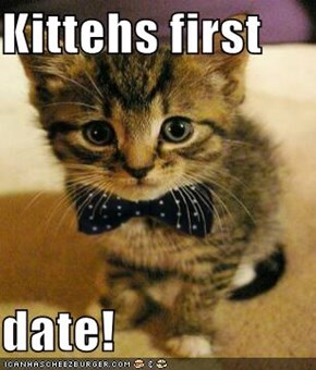 Kittehs first   date!
