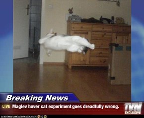 Breaking News - Maglev hover cat experiment goes dreadfully wrong.
