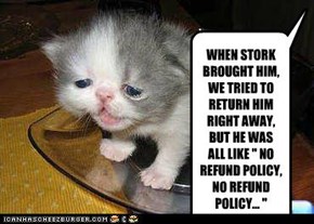 WHEN STORK BROUGHT HIM, WE TRIED TO RETURN HIM RIGHT AWAY, BUT HE WAS ALL LIKE " NO REFUND POLICY, NO REFUND POLICY... "