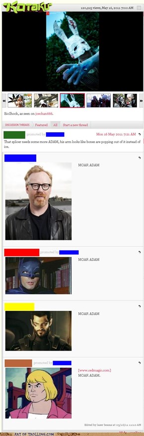 MOAR ADAM