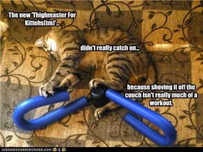 But the human gets a decent workout, picking it back up every few seconds.
