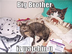 Big Brother   iz watchin u