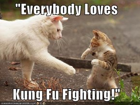 "Everybody Loves  Kung Fu Fighting!"