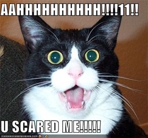AAHHHHHHHHHH!!!!11!!  U SCARED ME!!!!!
