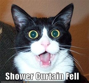 Shower Curtain Fell