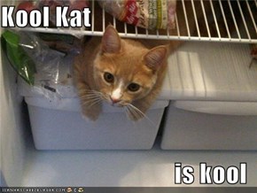 Kool Kat  is kool
