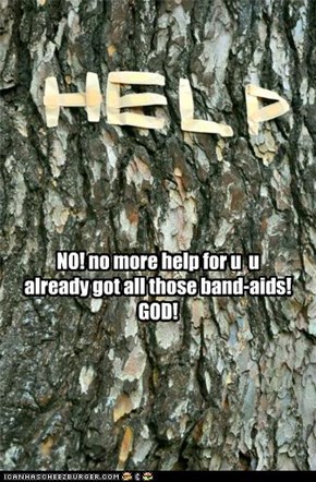 NO! no more help for u  u already got all those band-aids! GOD!
