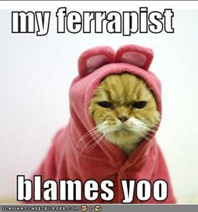 my ferrapist  blames yoo