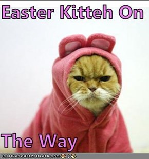 Easter Kitteh On  The Way
