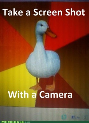 Technologically Impaired Duck: Then Scan the Camera Display