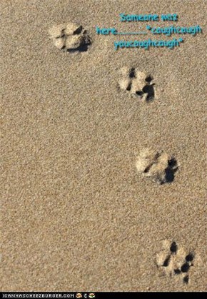 Paw Prints