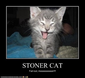 STONER CAT