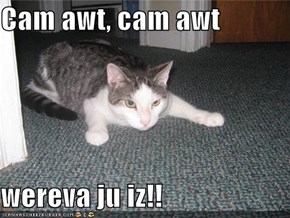 Cam awt, cam awt  wereva ju iz!!