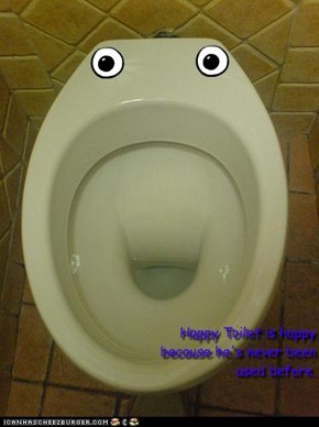 Happy Toilet is happy because he's never been used before.