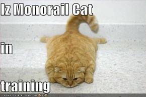 Iz Monorail Cat in training