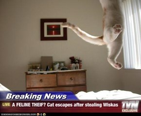 Breaking News - A FELINE THEIF? Cat escapes after stealing Wiskas
