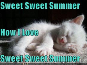 Sweet Sweet Summer How I Love  Sweet Sweet Summer