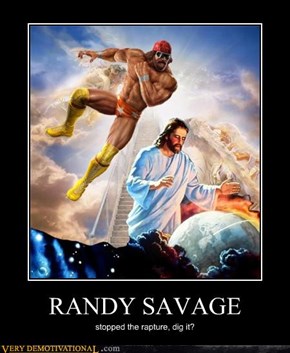 RANDY SAVAGE