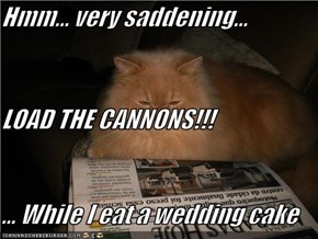 Hmm... very saddening... LOAD THE CANNONS!!! ... While I eat a wedding cake