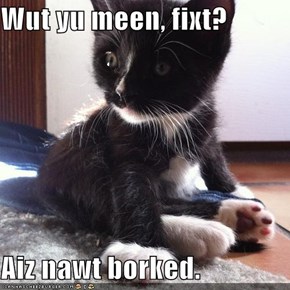 Wut yu meen, fixt?  Aiz nawt borked.