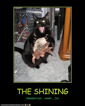THE SHINING