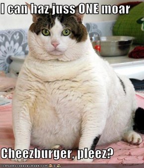 I can haz juss ONE moar  Cheezburger, pleez?