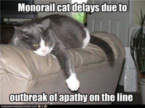 Monorail cat delays