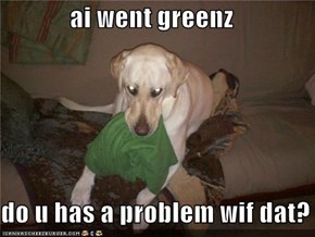 ai went greenz  do u has a problem wif dat?