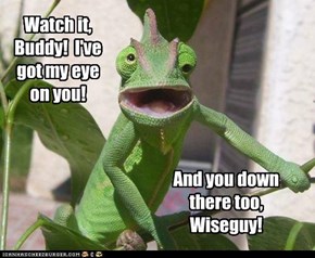 Watch it, Buddy!  I've got my eye on you!