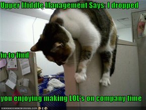 Upper Middle Management Says: I dropped in to find                                             you enjoying making LOL's on company time