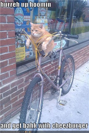 hurreh up hoomin  and get bahk with cheezburger