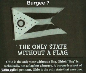 Ohio, only state without a flag..