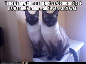 Hello Danny.