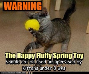 the Happy Fulffy Spring Toy..