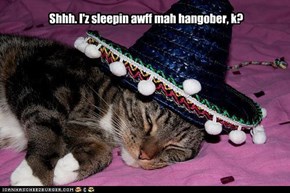 Shhh. I'z sleepin awff mah hangober, k?