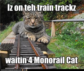 Iz on teh train trackz waitin 4 Monorail Cat
