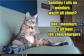 Sumtimz I sits an wondurs: wazzit all about?