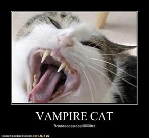 VAMPIRE CAT