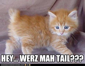 HEY... WERZ MAH TAIL???