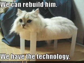 We can rebuild him...