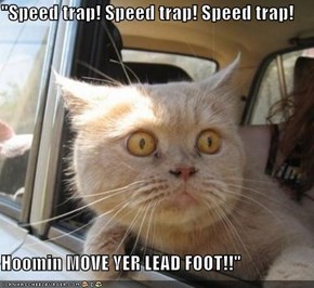"Speed trap! Speed trap! Speed trap!  Hoomin MOVE YER LEAD FOOT!!"
