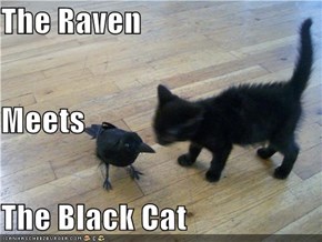 The Raven Meets The Black Cat