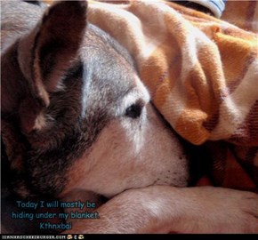 Even a Browndog can get the Blues some days ...